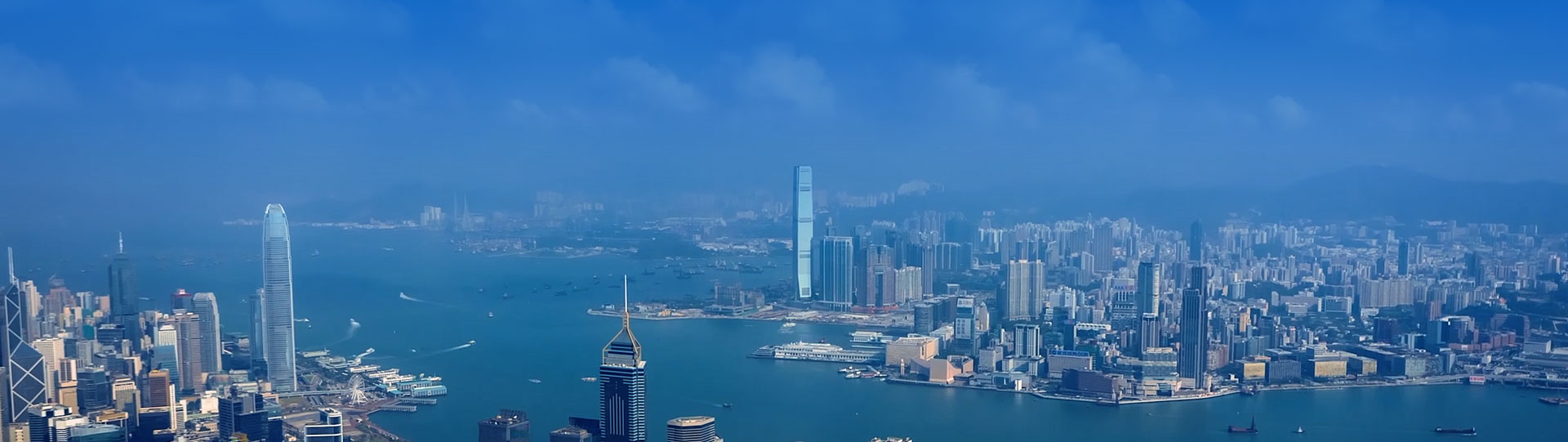 抖圈-为du而生官网入口